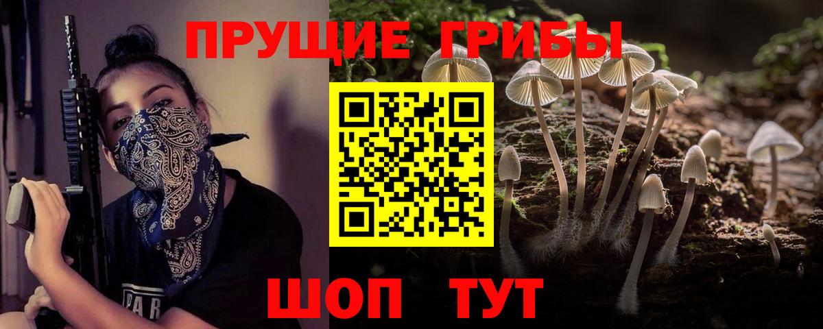 Галлюциногенные грибы Psilocybine cubensis Ялта